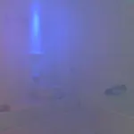 The